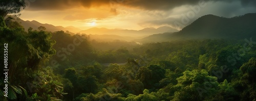 view of tropical forest with fog in the afternoon during the rainy season