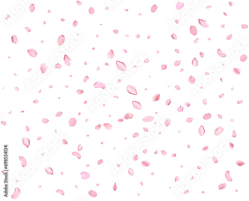 Pink Spring Japanese Cherry petals.
