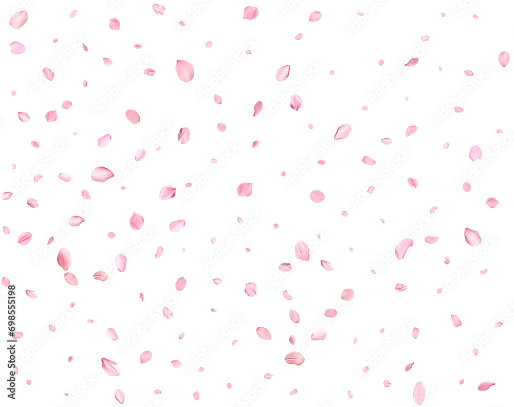 Pink Spring Japanese Cherry petals. Pink Spring Japanese Cherry petals.