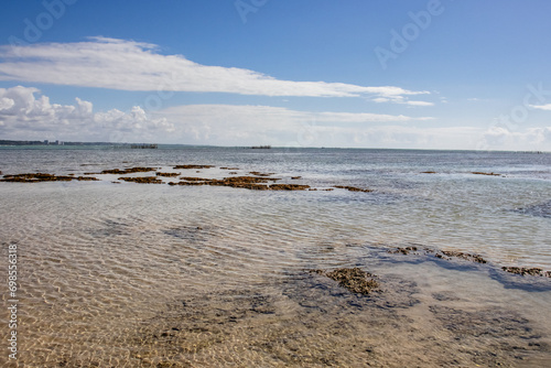 Beach  Maceio Beach Brazil