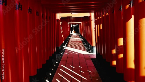 日本の神社の並ぶ赤い鳥居を移動撮影 photo