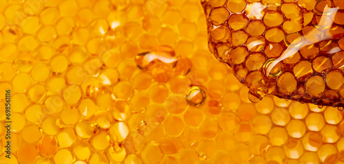 honey texture close up in the detail