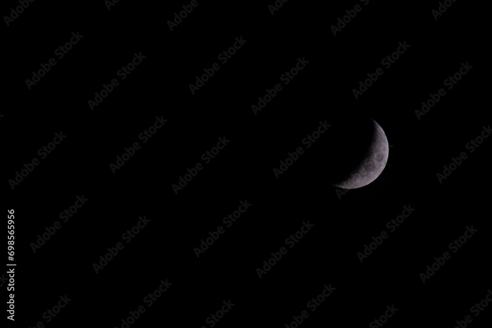moon in the night moon in the night