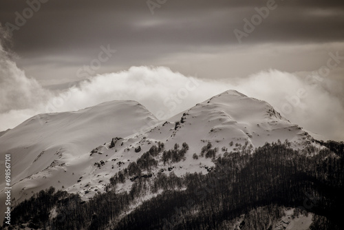 Tranquil winter wilderness panorama.