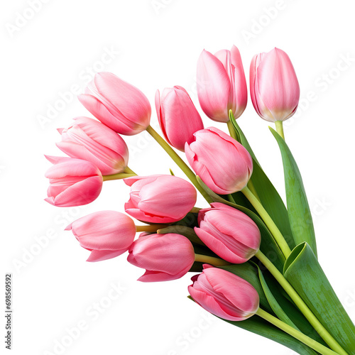 bouquet of pink tulips  png