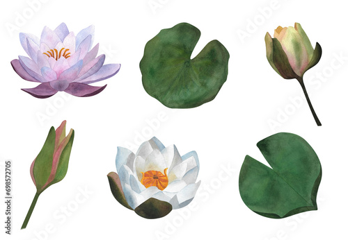 Delicate set of watercolor isolated white purple waterlily bud leaves For stickers Women's day 2024 wedding invitations 2024 postcards spa yoga design 2024 poster tender beauty salon wrapping