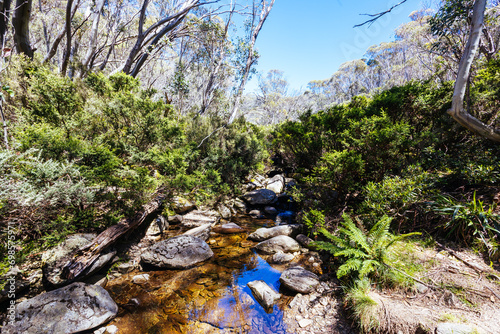 River at Horse Camp Hut in Kosciuszko National Park in Australia photo