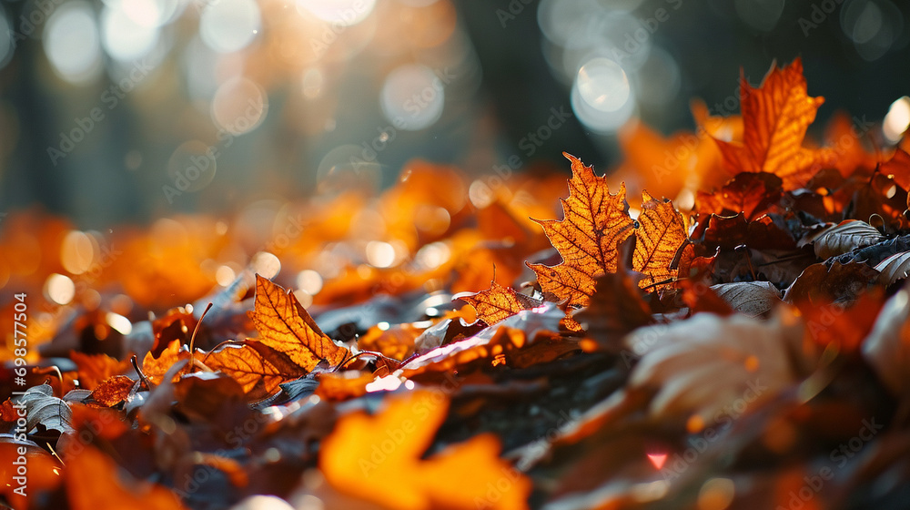Fall season bokeh with scatterings of vivid orange leaves, AI Generated