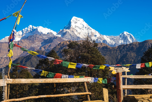 Annapurna peak and Prayer flag on poon hill in Himalayas, nepal