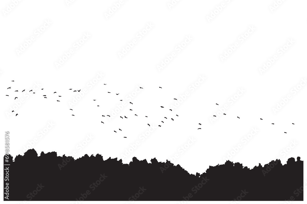 Flying birds. Vector images. White background. 