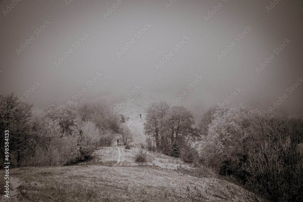 Obraz premium Pristine snow blankets rugged terrain.