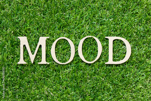 Wood letter in word mood on green grass background
