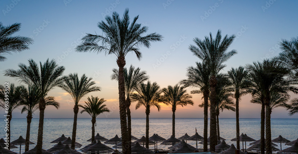 silhouette of palm trees against the dawn sky and blue sea
