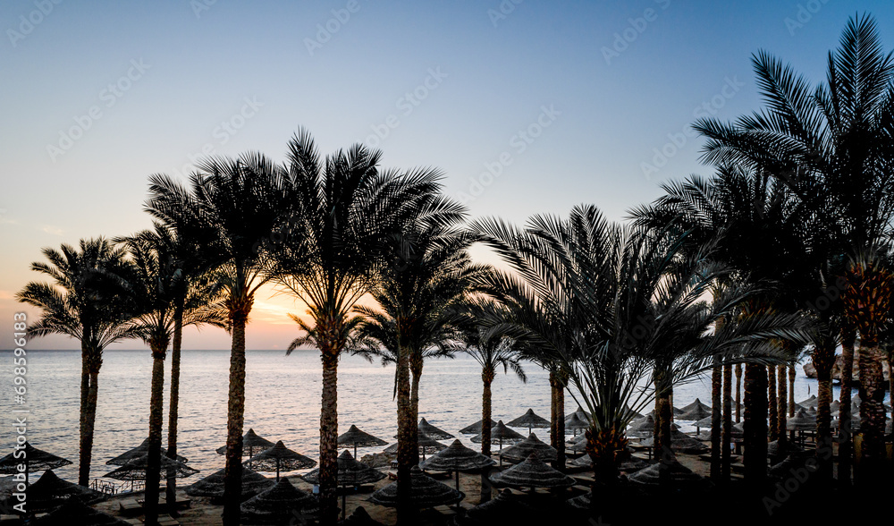 evening sunset landscape on the background of the silhouette of palm trees and the Red Sea with the sky and clouds in Egypt