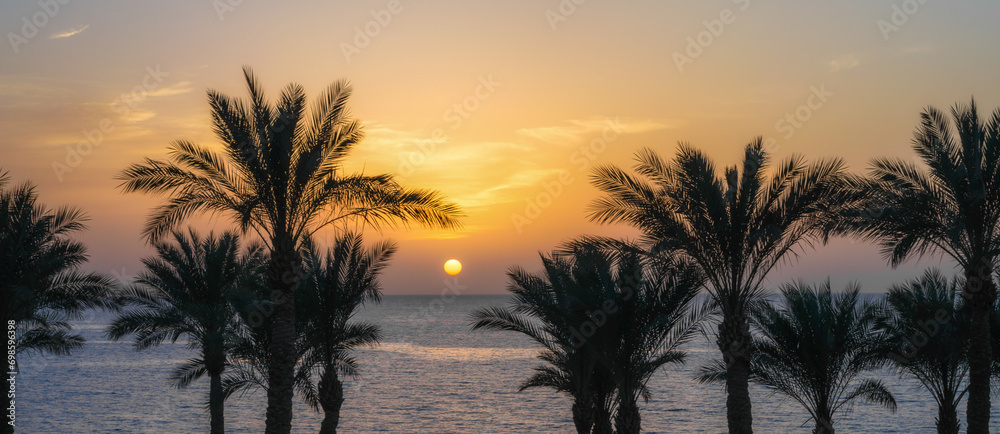 dawn the sun over the Red Sea and the silhouette of palm trees on the shore of Egypt in Sharm El Sheikh