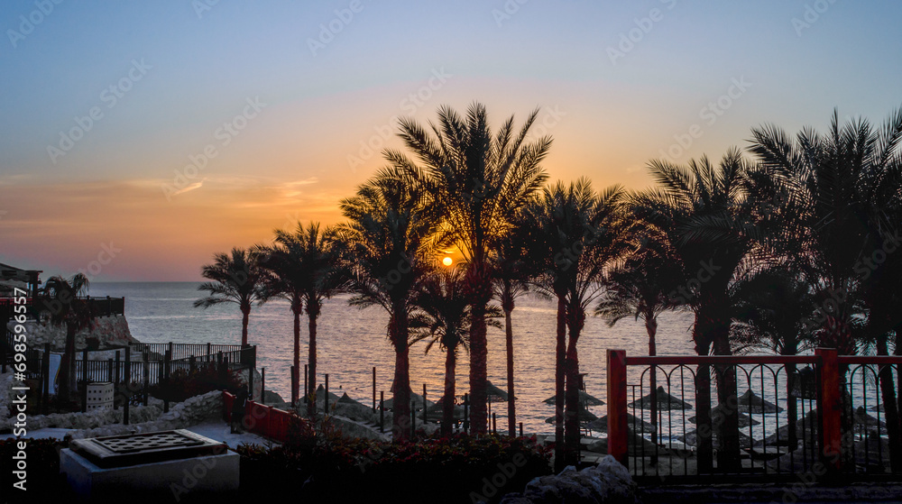 landscape dawn sky palms and hotel in egypt in Sharm El Sheikh