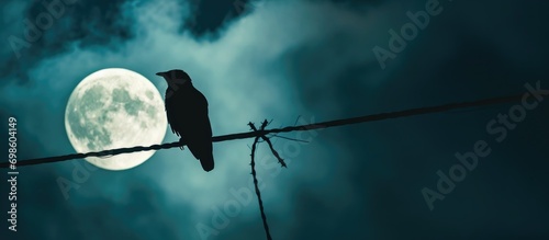 Nighttime with full moon and bird silhouette perched on electric wire. © AkuAku