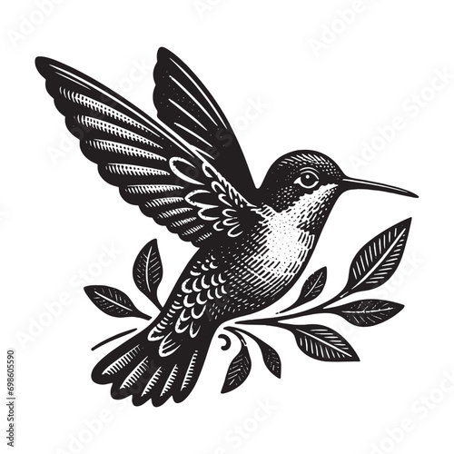 Hummingbird.  Vintage black engraving illustration. Monochrome vector icon. Isolated and cut out