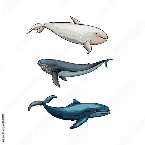 Set of whales and sharks. Isolated illustration of underwater animals. Isolated as a blank for designers  icon  logo  label