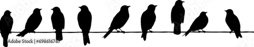 A silhouette of birds Purple Martins on a telephone wire. AI generated illustration.