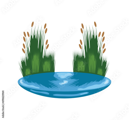 wetland vegetation illustration