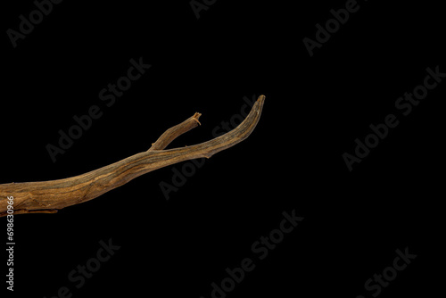 Beautiful texture wooden driftwood isolated on black background with clipping path