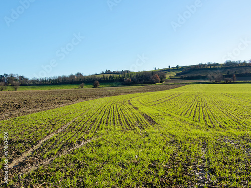 Fields and blue sky in early winter above Saint Symphorien d'Ozon, France photo