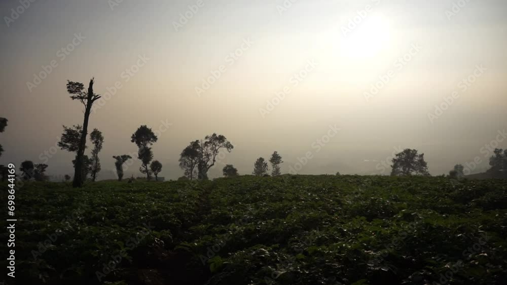 very beautiful natural views with clear skies in the morning at sunrise