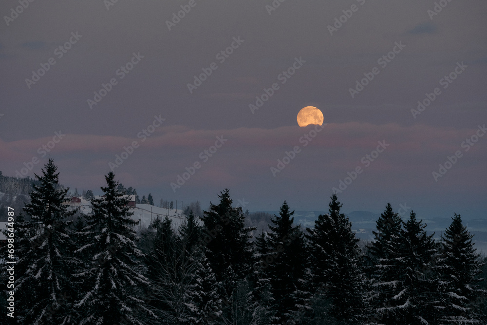 The full moon above the forest of the Olterudelva River, Toten, Norway, in winter. The full moon above the forest of the Olterudelva River, Toten, Norway, in winter.