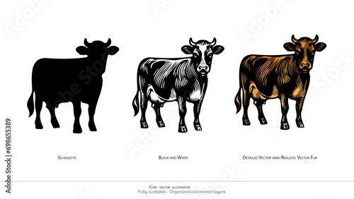 Dairy Cow vector illustration - silhouette black and white and colored. organized layers, animation ready