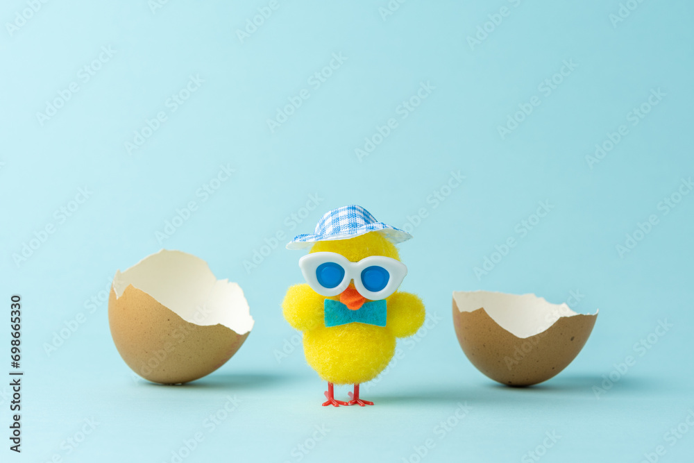 Fototapeta premium Chicken with cracked Easter eggs on pastel blue background. Easter minimal concept. Creative Happy Easter or spring layout.