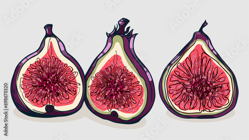 Set of Fig fruit, Vector illustration in one line sketch style, flat hand drawn sketch, Colorful fruit with shadow and light, isolated on colored background.
