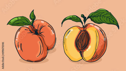 Set of Peach fruit, Vector illustration in one line sketch style, flat hand drawn sketch, Colorful fruit with shadow and light, isolated on colored background.