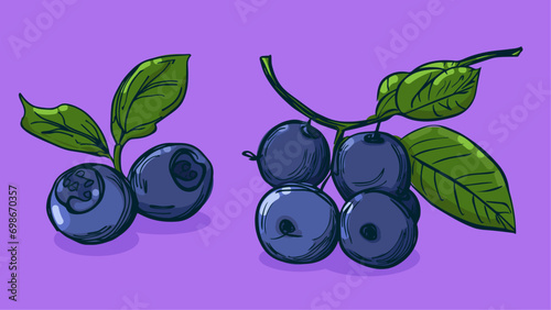 Set of Blueberry fruit, Vector illustration in one line sketch style, flat hand drawn sketch, Colorful fruit with shadow and light, isolated on colored background.