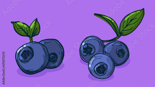 Set of Blueberry fruit, Vector illustration in one line sketch style, flat hand drawn sketch, Colorful fruit with shadow and light, isolated on colored background.