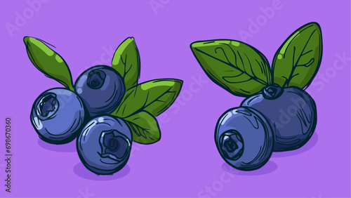 Set of Blueberry fruit, Vector illustration in one line sketch style, flat hand drawn sketch, Colorful fruit with shadow and light, isolated on colored background.