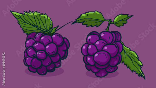 Set of Blackberry fruit, Vector illustration in one line sketch style, flat hand drawn sketch, Colorful fruit with shadow and light, isolated on colored background.