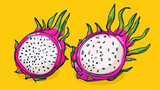 Set of Dragon fruit, Vector illustration in one line sketch style, flat hand drawn sketch, Colorful fruit with shadow and light, isolated on colored background.