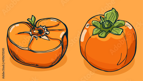 Set of Persimmon fruit, Vector illustration in one line sketch style, flat hand drawn sketch, Colorful fruit with shadow and light, isolated on colored background.