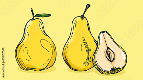Set of Pear fruit, Vector illustration in one line sketch style, flat hand drawn sketch, Colorful fruit with shadow and light, isolated on colored background.