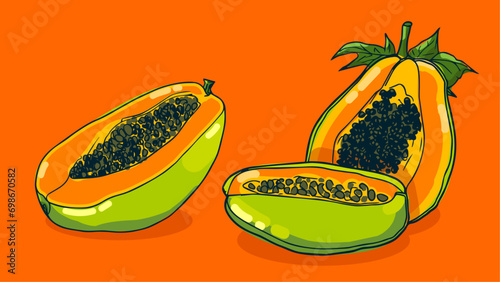 Set of Papaya fruit, Vector illustration in one line sketch style, flat hand drawn sketch, Colorful fruit with shadow and light, isolated on colored background.