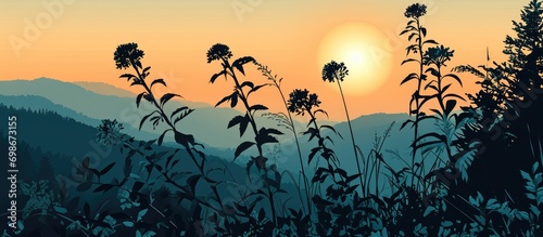 Mountain sunrise and plant outlines.