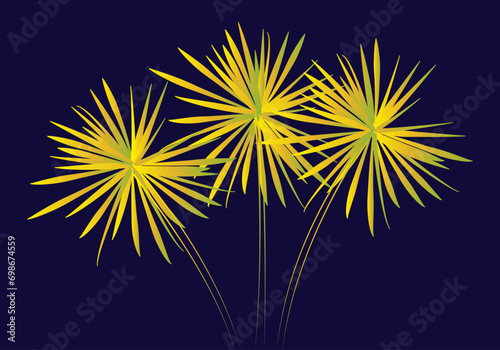Fuegos artificiales de celebración de festejos.