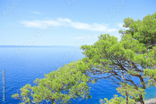 Coniferous tree on the sea background in clear sunny day. Summer photo of a sea landscape. Nature in summer. Summer vacation concept. Travel concept. Tree on tropical beach with blue sky 