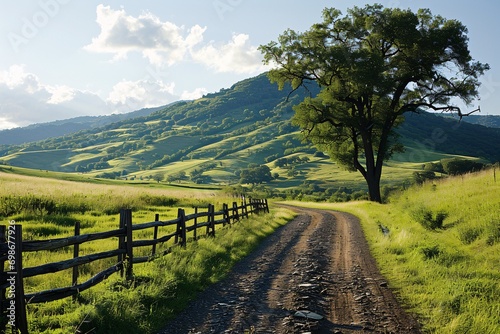 A dirt road in a lush green field with a fence and a tree in the background