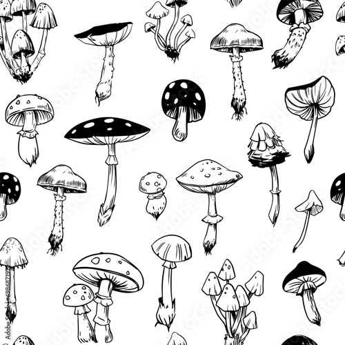 Toadstools, fly agarics, poisonous mushrooms,  seamless pattern, vector illustrations. Sketch style