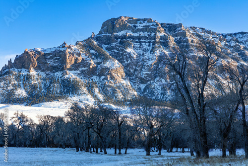 Fotografija Winter snow-covered, pasture, bare trees and the Carter Mountains at sunset in northwest Wyoming landscape