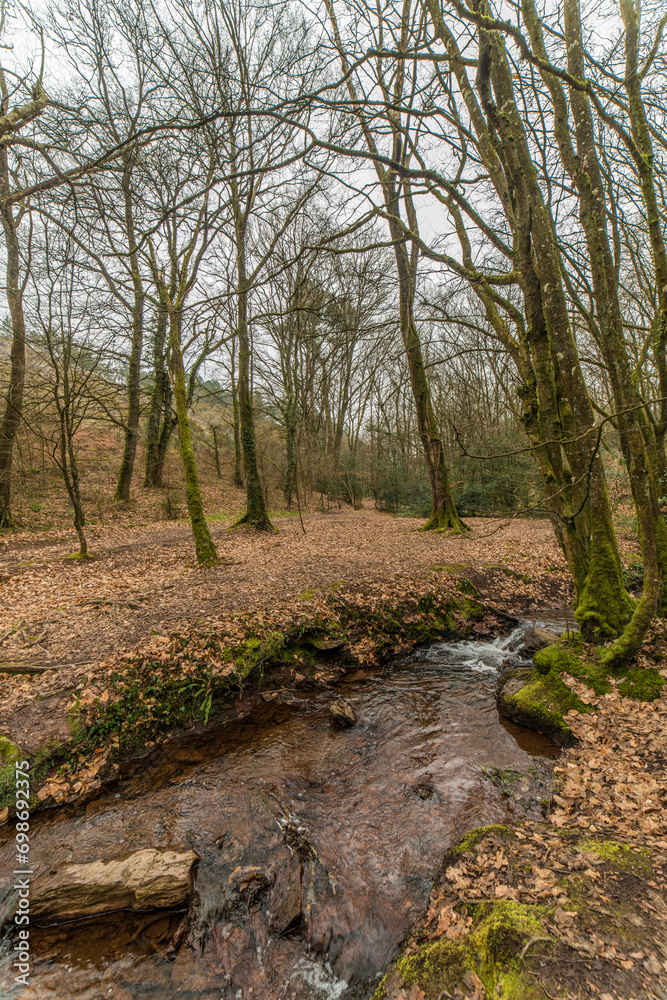 Ruisseau hivernal dans la forêt de Brocéliande à Tréhorenteuc, Morbihan, France Ruisseau hivernal dans la forêt de Brocéliande à Tréhorenteuc, Morbihan, France