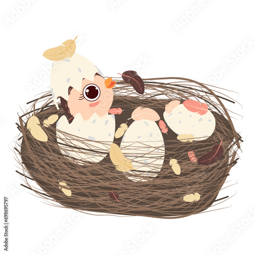 one chick hatched in the nest together with unhatched eggs. Vector