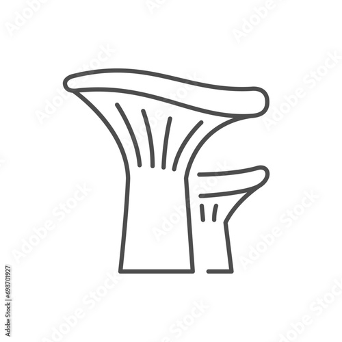 Chanterelle mushroom line outline icon photo